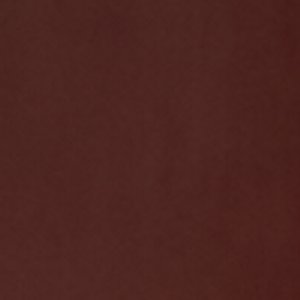 Cleaner & Conditioner Shoe Care - Image 2