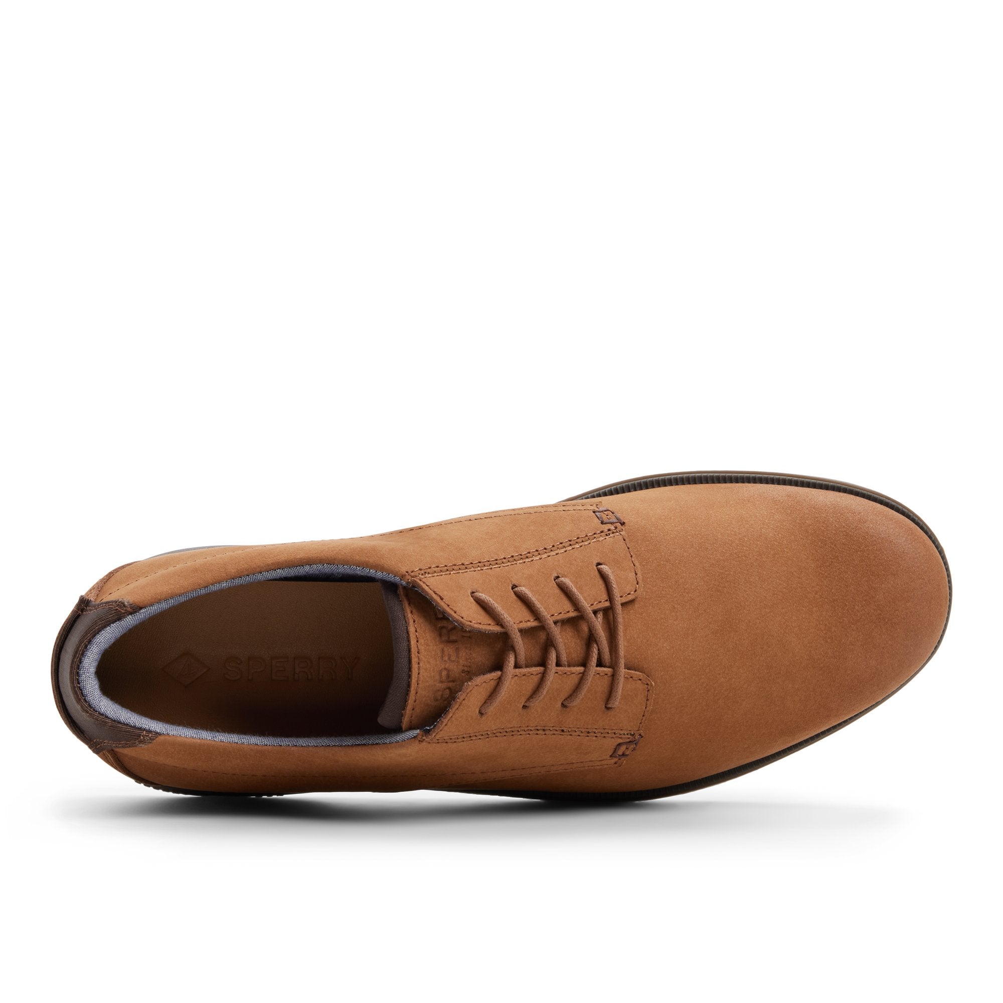 Newman Oxford II - Image 6